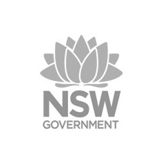 new south wales government